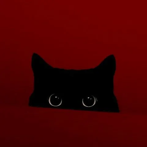 whatsapp image 2025 11 20 at 2.53.18 pm